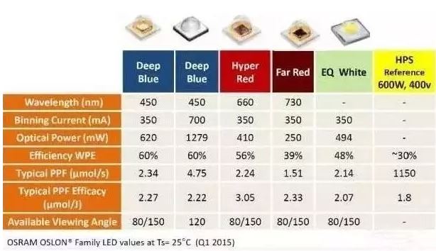 欧司朗：园艺LED照明助力温室培植安全及提高产量